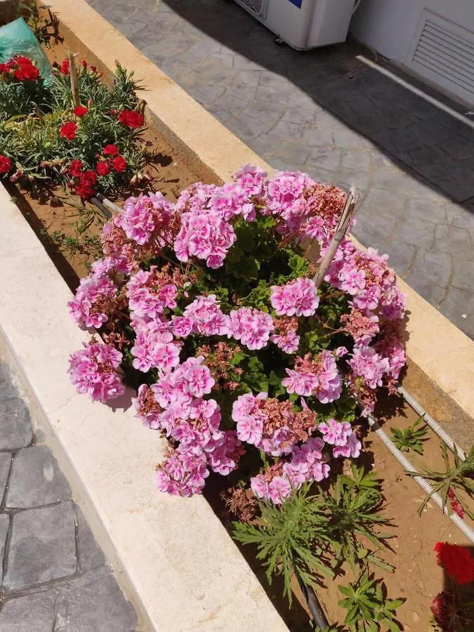 Captain Pier Hotel Protaras