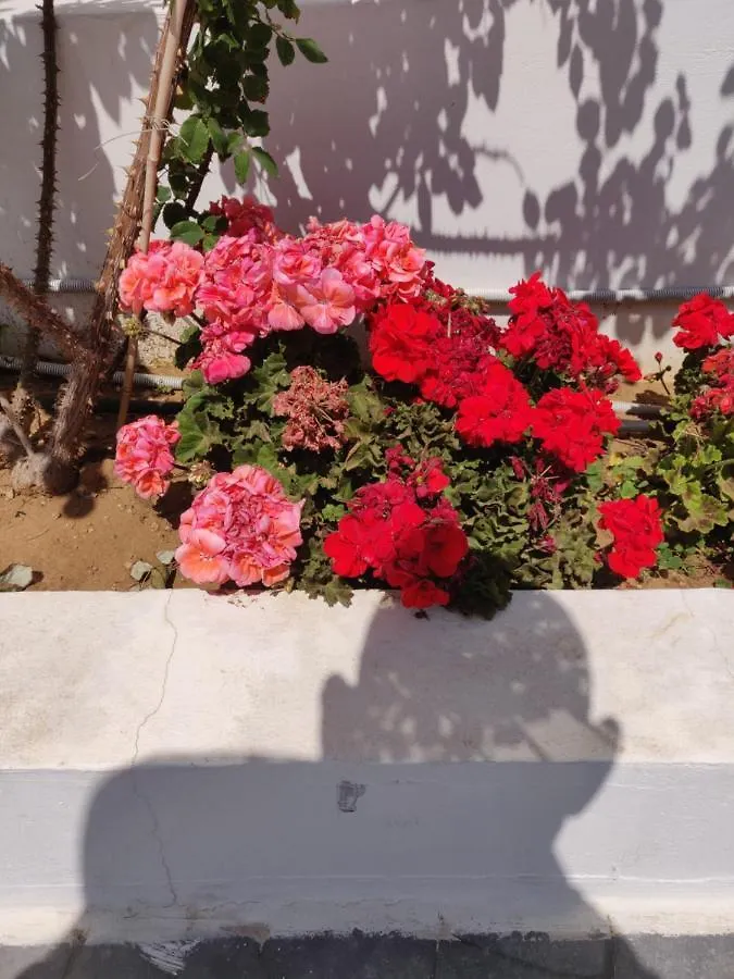 Captain Pier Hotel Protaras